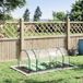 Serre de jardin 200 x 100 x 80 cm avec structure en acier et bâche en PVC transparent, idéale pour la culture des tomates.