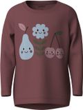 NAME IT T-shirt 'NMFVIX' bleu clair / sapin / prune / baie