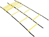AJ-Sports Dubbele Loopladder 6 meter