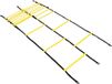AJ-Sports Dubbele Loopladder 6 meter