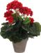 Mica Decorations Kunstplant - Geranium - rood - in pot - D20 x H34 cm