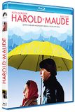 Harold y Maude / écran / 15 / 2023