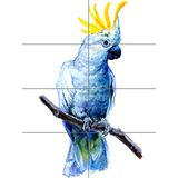 Artery8 Vogel kaketoe schilderij XL Giant Panel Poster (8 Secties)