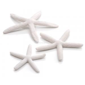 biOrb Zeester Set 3 Wit Aquarium Decoratie