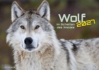 Wolf - Im Schatten des Waldes - 2027 - Kalender DIN A3