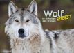 Wolf - Im Schatten des Waldes - 2027 - Kalender DIN A3