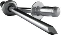 Gesipa 1432059 Popnagel (Ø x l) 4 mm x 17 mm RVS Aluminium 50 stuk(s)