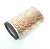 Champion Motorcycle Champion Filtre à air pour Moto Triumph 800 Bonneville 2001-2004 CAF5504 Orange