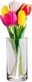Alessandro Bloemenvaas klassiek - transparant glas - 10 x 20 cm - recht model - boeketvaas
