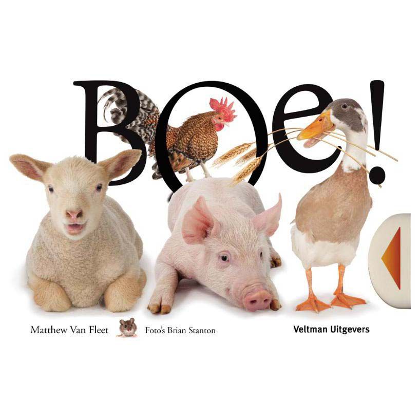BOE! - Matthew van Fleet - Hardcover - Nederlands