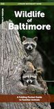 Wildlife Waterford Press Ltd Urban Wildlife- Wildlife of Baltimore