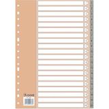 Dohe Register met 2 en 4 ringen (20 stuks) – register in folio-formaat (22,7 x 31,5 cm), genummerd 1-20, robuuste kunststof 120 micron, 16 gaten – grijs