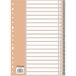 Dohe Register met 2 en 4 ringen (20 stuks) – register in folio-formaat (22,7 x 31,5 cm), genummerd 1-20, robuuste kunststof 120 micron, 16 gaten – grijs