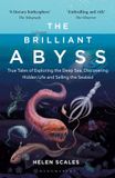 The Bloomsbury Sigma The Brilliant Abyss