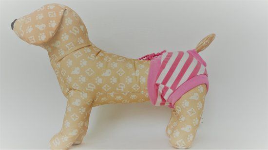 Animal King Loopsheidbroekje - roze gestreept - maat M