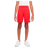 NIKE Df Hbr Unisex Kindershorts