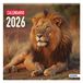 DOHE 13175-26 Wandkalender Meerkleurig Papier 300 x 300 mm FSC