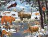 Larsen Maxi FH32 Vormpuzzel 54 stuk(s) Flora & fauna