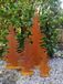 Edelrost sapin de Noël, sapin de Noël étroit - 80 cm