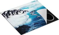 Chefcare Inductie Beschermer Kudde Pinguïns Springen vanaf een Rots - 57,6x51,6 cm - Multicolor