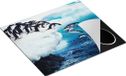 Chefcare Inductie Beschermer Kudde Pinguïns Springen vanaf een Rots - 57,6x51,6 cm - Multicolor