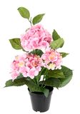 Flair Flower Kunsthortensia in pot