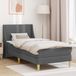 Maison Exclusive - Lit cadre gris foncé 90 x 200 cm polyester