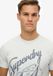 Superdry Lo-fi Dockside T-shirt Heren Blauw M