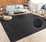 Paco Home Vloerkleed Woonkamer Effen Eenvoudig En Modern Laagpolig, Zwart, 200x280 cm