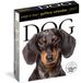 Dog Workman Calendars Dog Page-A-Day® Gallery Calendar 2027
