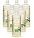 KieselGreen Éthanol bio avec parfum VANILLE Éthanol bio 100% biocarburant (6x1 litre avec bec verseur)