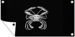 Poster de jardin - Crabe - Animaux marins - Ernst Haeckel - 160x80 cm - Bannière
