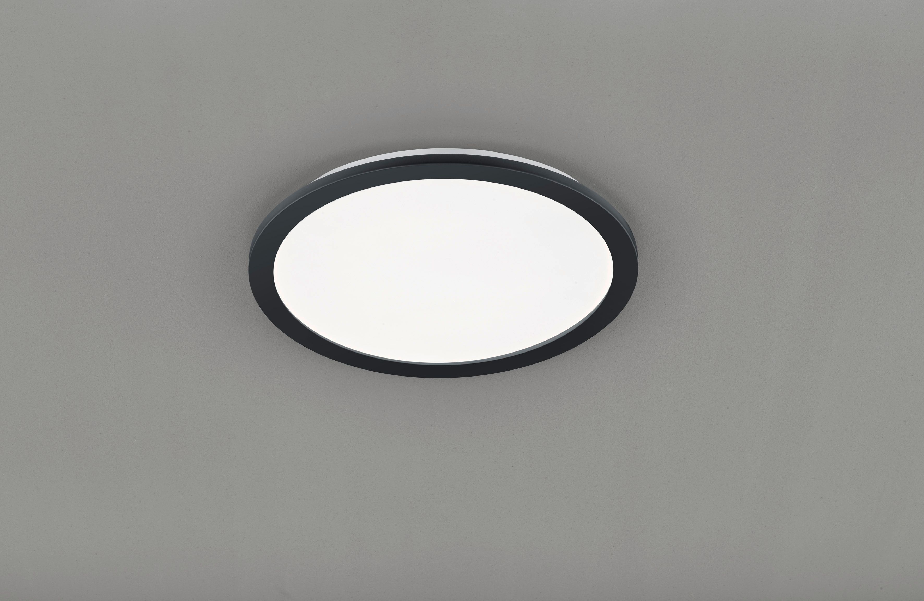 Camillus Plafonnier Zwart (Badkamer Geschikt) 17cm - Dimbaar