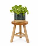 Van der Leeden Plantenpot verhoger tafeltje - D30 x H44 cm - naturel kleur - hout - klassiek decoratief