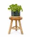 Van der Leeden Plantenpot verhoger tafeltje - D30 x H44 cm - naturel kleur - hout - klassiek decoratief