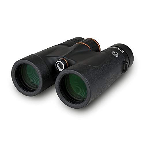 Celestron Regal ED 10x42 Verrekijker
