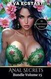 Anal Flash Erotica - Anal Secrets - Anal Bundles Volume 15