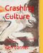 Crashing Culture: An artist reaction to exsisting authorities