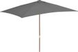 vidaXL Parasol met houten paal 200x300 cm antraciet