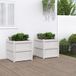 Jardin Jardinière, 2 pièces, blanc, bois massif, pin
