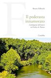 Il Platone Il pederasta innamorato. L'ambiguità dell'amore nel Fedro di Platone