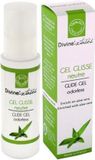 Divine XTases Aloe Vera - Natuurlijk Glijmiddel - 100ml