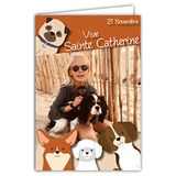 Afie 68-1306 Kaart met envelop "Vive Sainte Catherine", 25 november, goed feest, voor kleine meisjes die van honden houden, wandelen zand zee ganivelle hout bruin verzamelkaart om te verzamelen