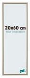 yd. Cadre photo 20x60 cm Plastique Champagne Annecy