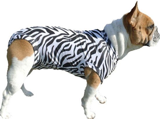 Medical Pet Shirt Hond Zebra Print - L