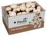 Champignon Kweekset | Champignons Blancs à Cultiver Soi-Même
