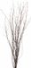 Bellatio Flowers & Plants Paastakken - Natuurlijk hout voor binnen - 75 cm