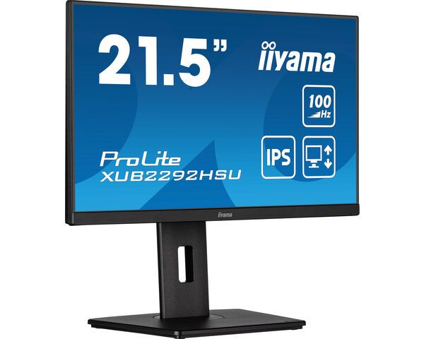 iiyama ProLite XUB2292HSU-B6 22" Full HD IPS Monitor with USB Hub