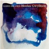 Music&Words Blodau Gwylltion - Llifo Fel Oed (CD)