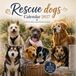 Rescue Dogs Calendar 2027: Heartwarming Rescue Pets, Inspiring Canine Moments, and 3 Bonus Months of 2028